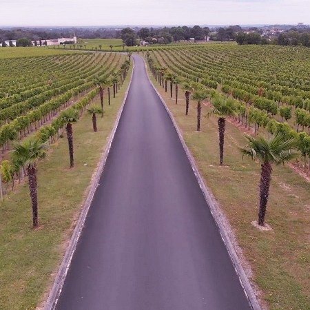 Photo de drone Mavic Air | chateau | télépilote